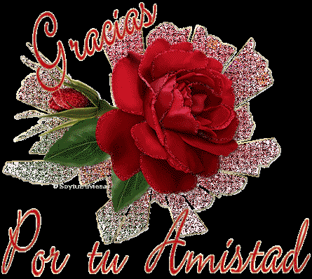 La rosa de la amistad