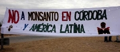 Fuera Monsanto 