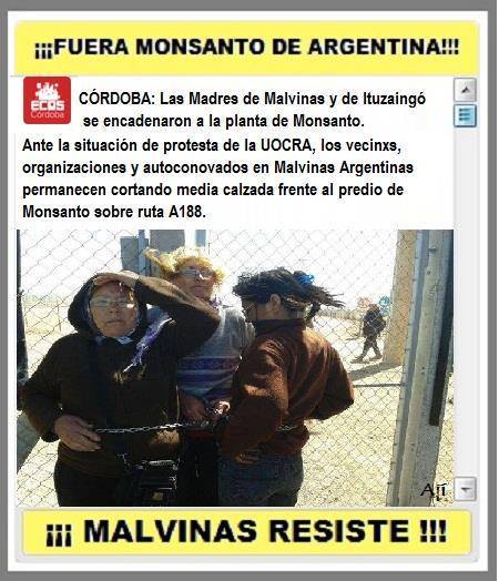 Monsanto Malvinas